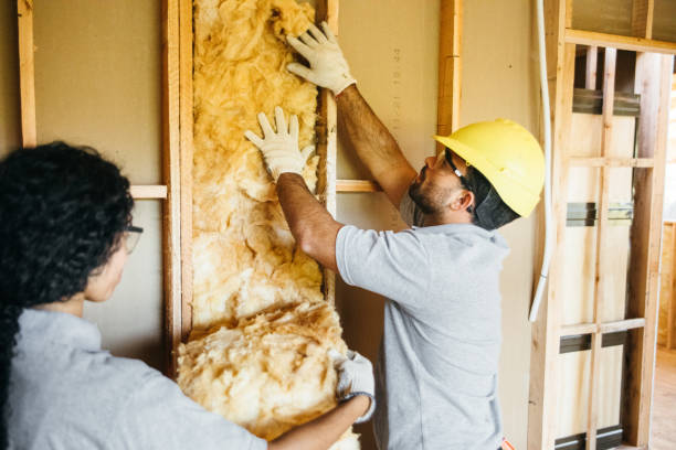 Best Wall Insulation Installation  in Payson, IL